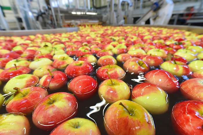 Unraveling IFS Progress Food