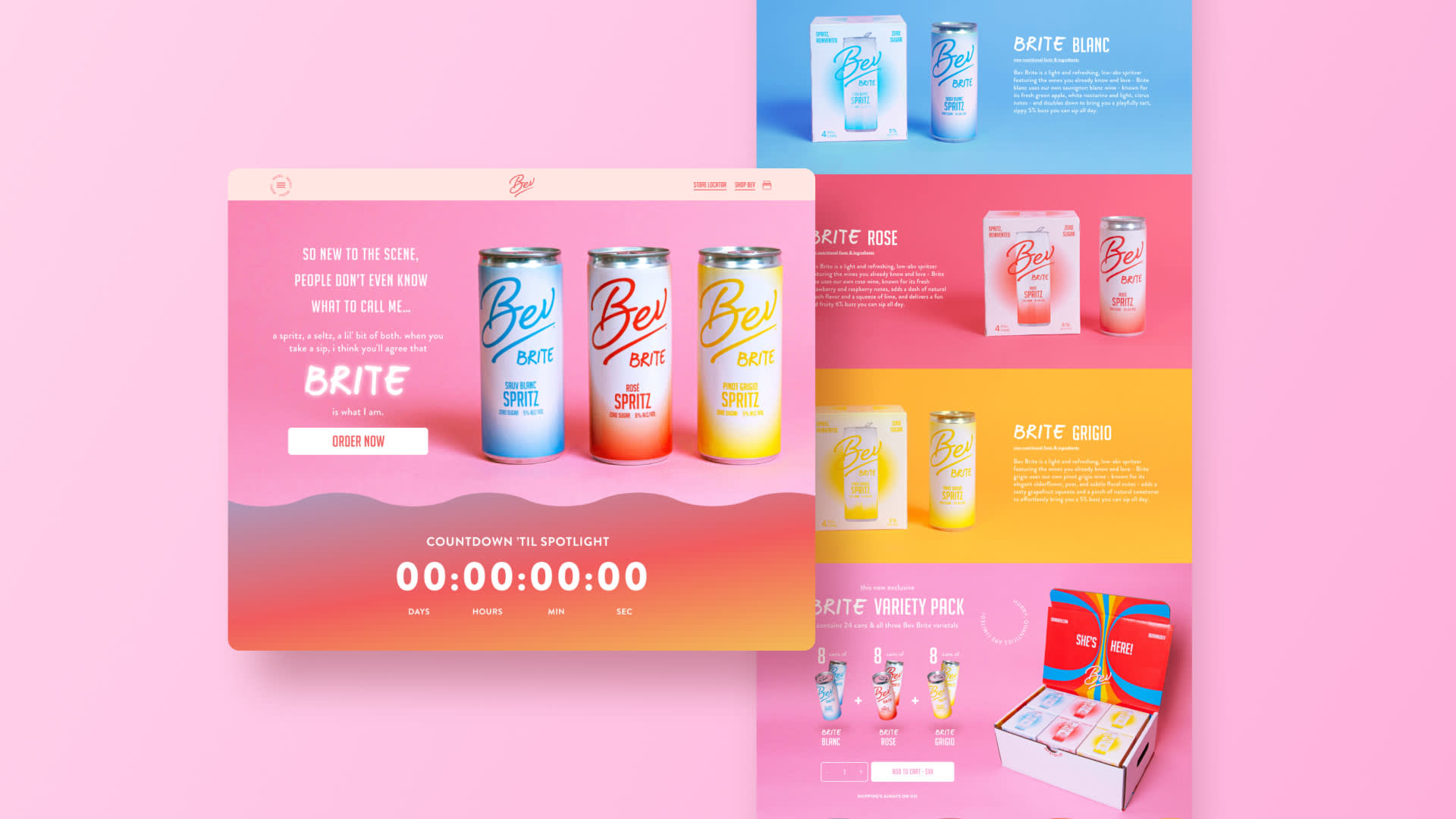 Bev Case Study (1)