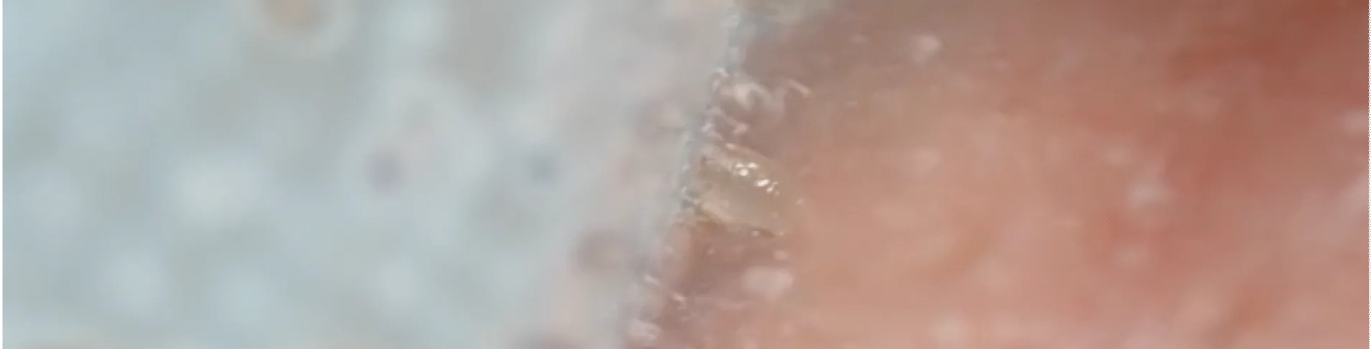 PS Gunk