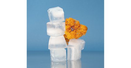 How To Stop a Pimple from Bleeding en-ca