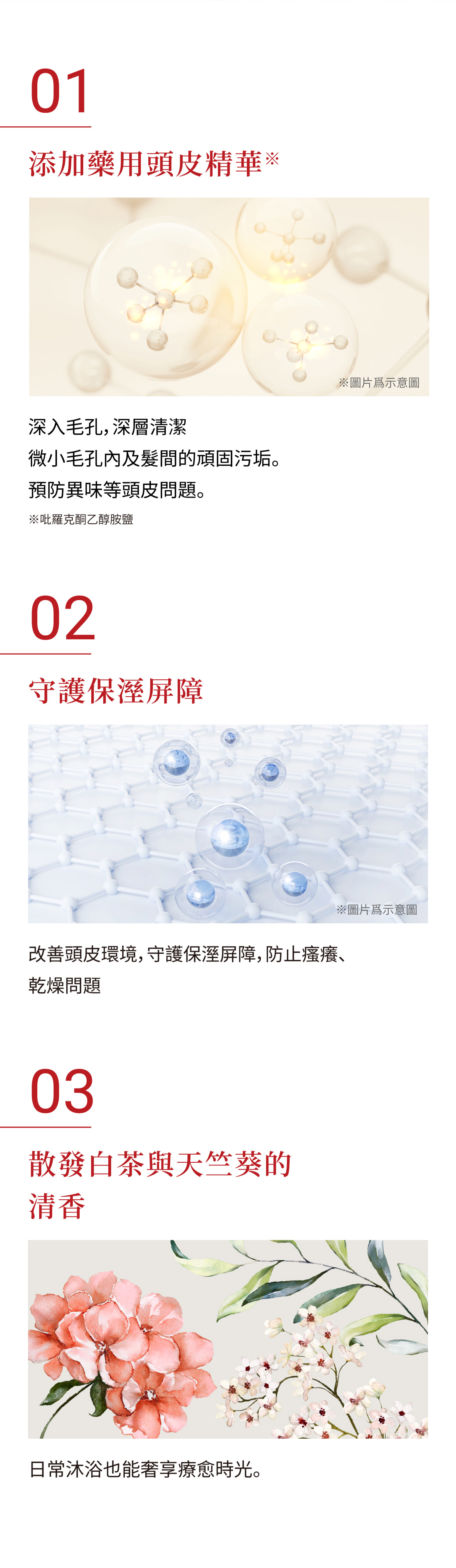 表現藥用頭皮精華（皮洛克通氯胺）的分子結構圖，與水分屏障的圖像，網上浮現藍色粒子的畫面及白茶與天竺葵香氣的柔和水彩畫