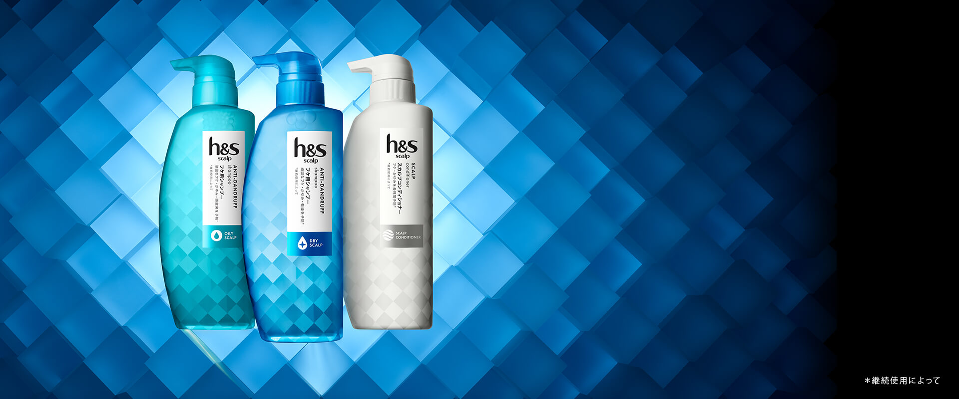 頭皮の乾燥やフケ かゆみなどを防ぎ 健康な髪を作るヘアケアシリーズ H S