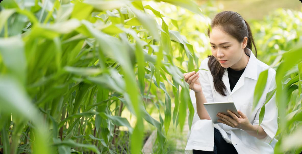 Young scientist in field with tablet