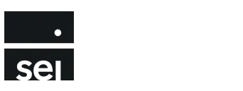 SEI Logo