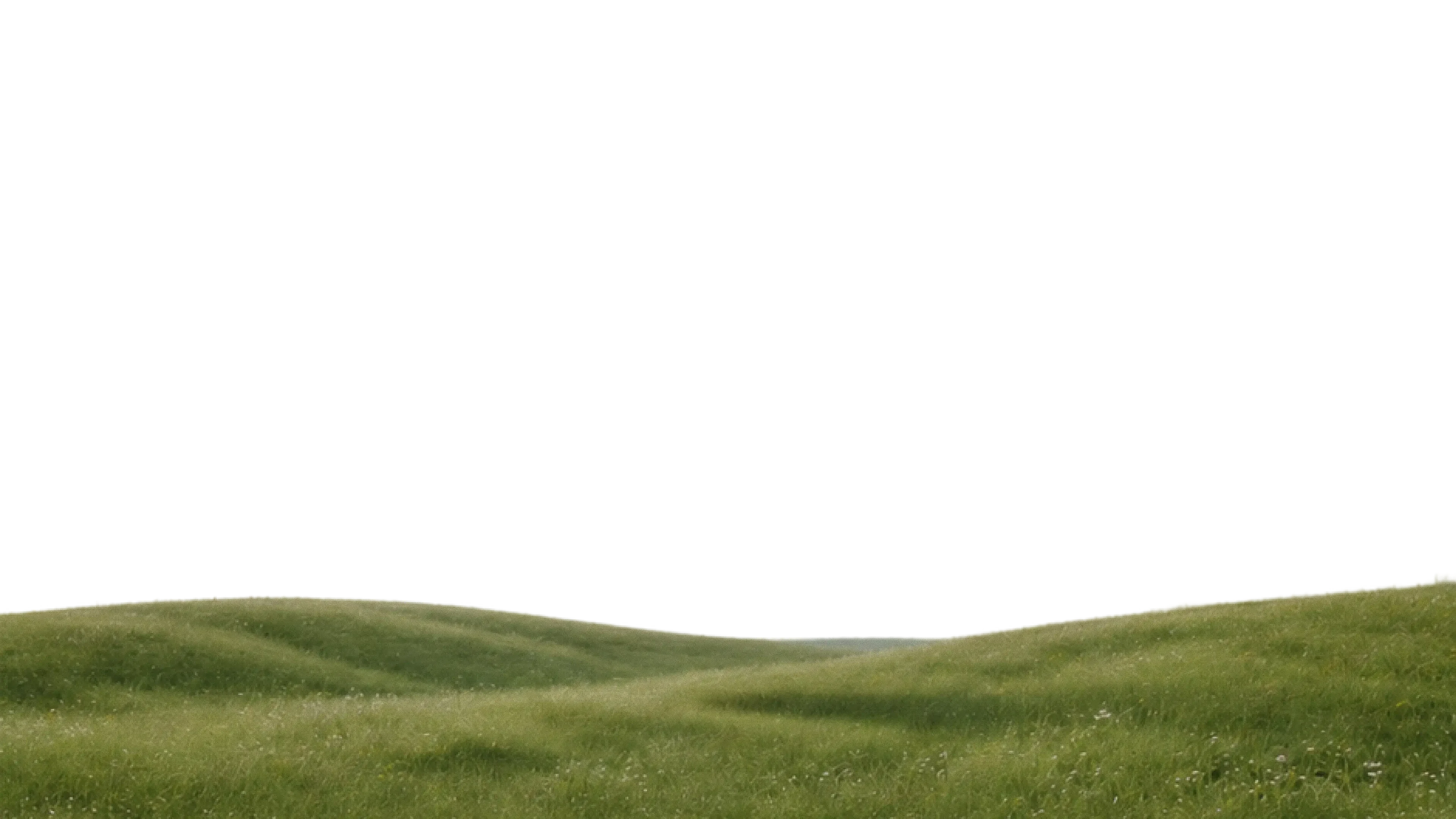 Grass ground under a white sky creating a minimalist landscape composition.