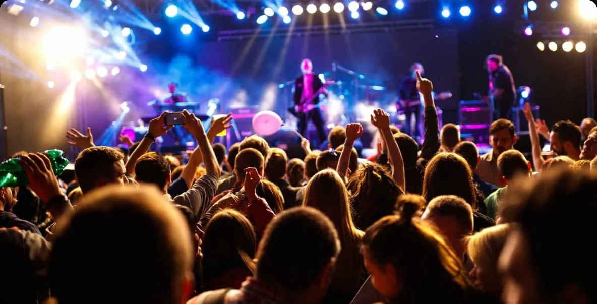 concert crowd