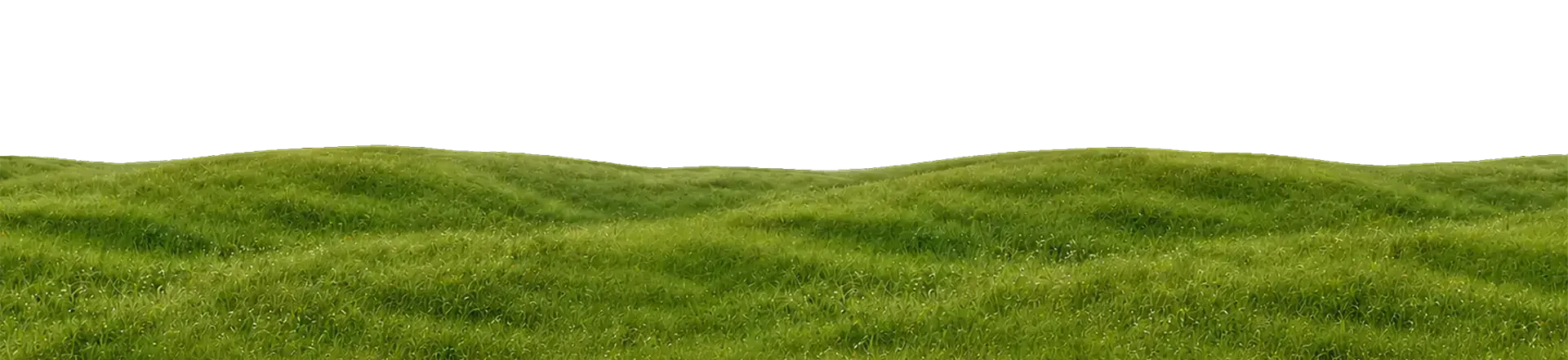 Rolling green grass hills under a white sky, creating a simple natural landscape with gentle slopes and lush vegetation.