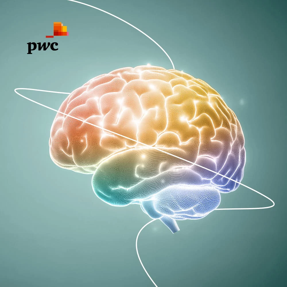 Hero Customer PWC