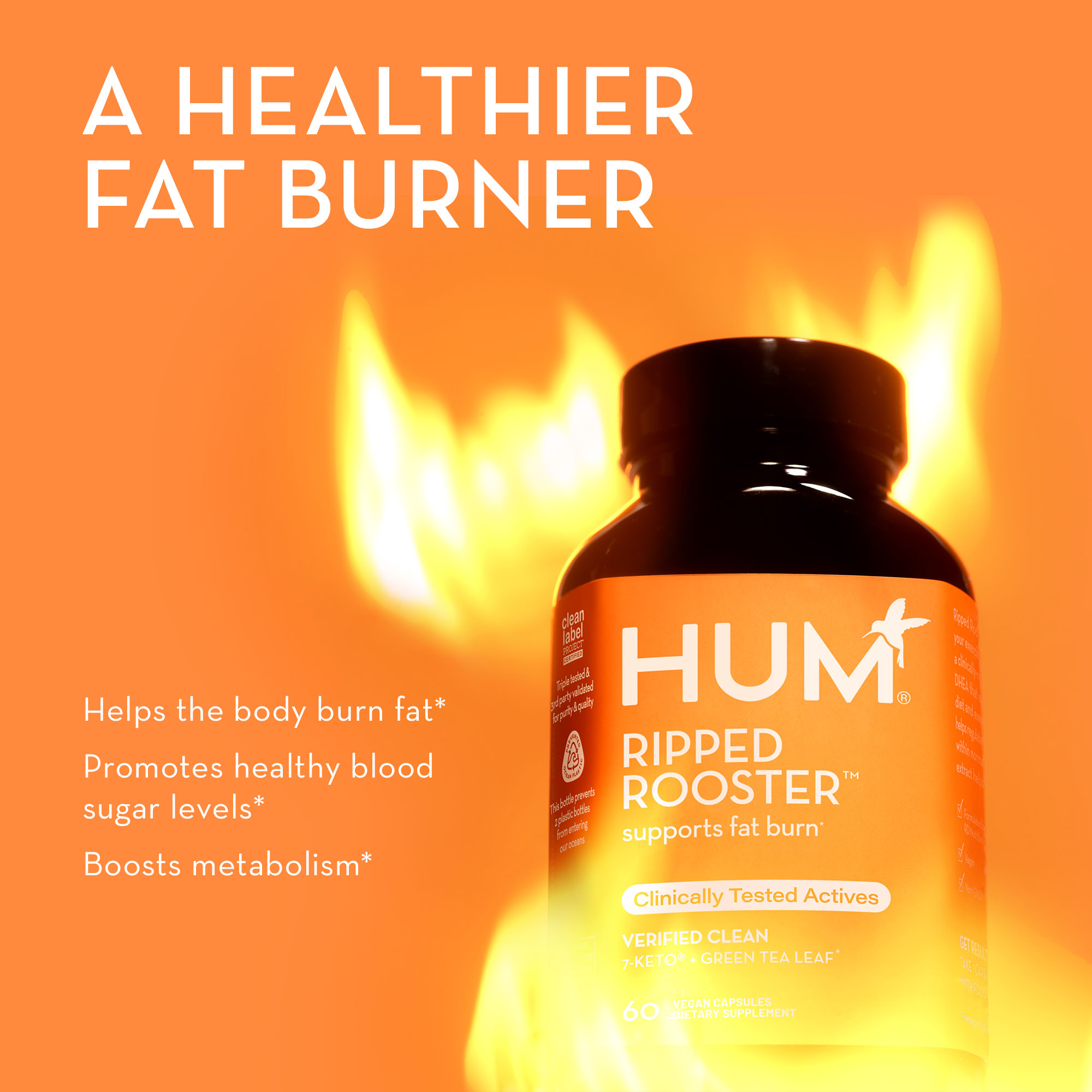 Ripped Rooster Fat Burning Supplements HUM Nutrition