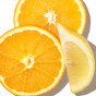 柑橘生物黄酮素