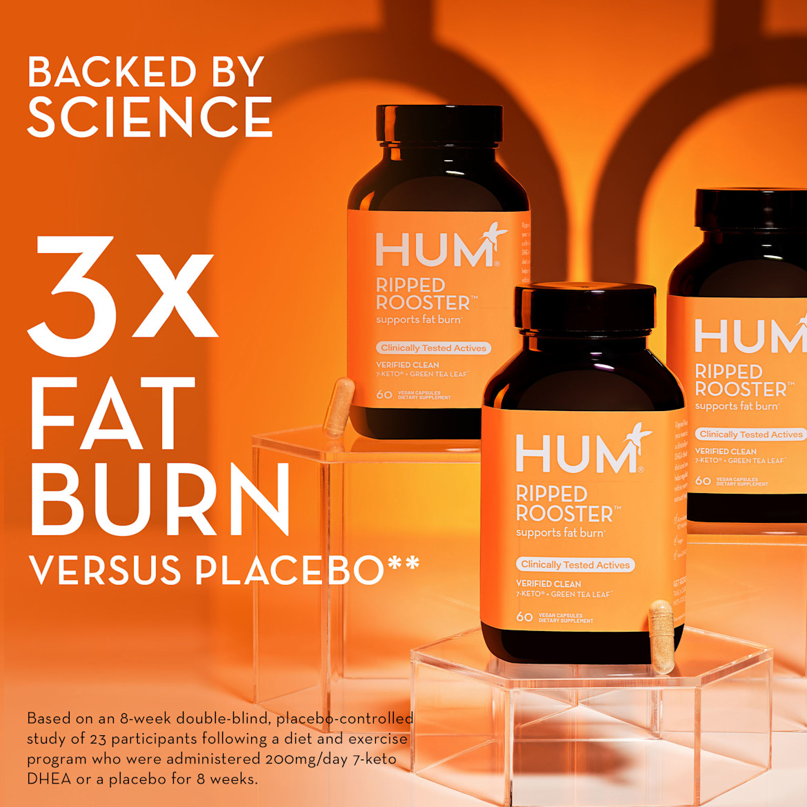 Ripped Rooster Fat Burning Supplements HUM Nutrition
