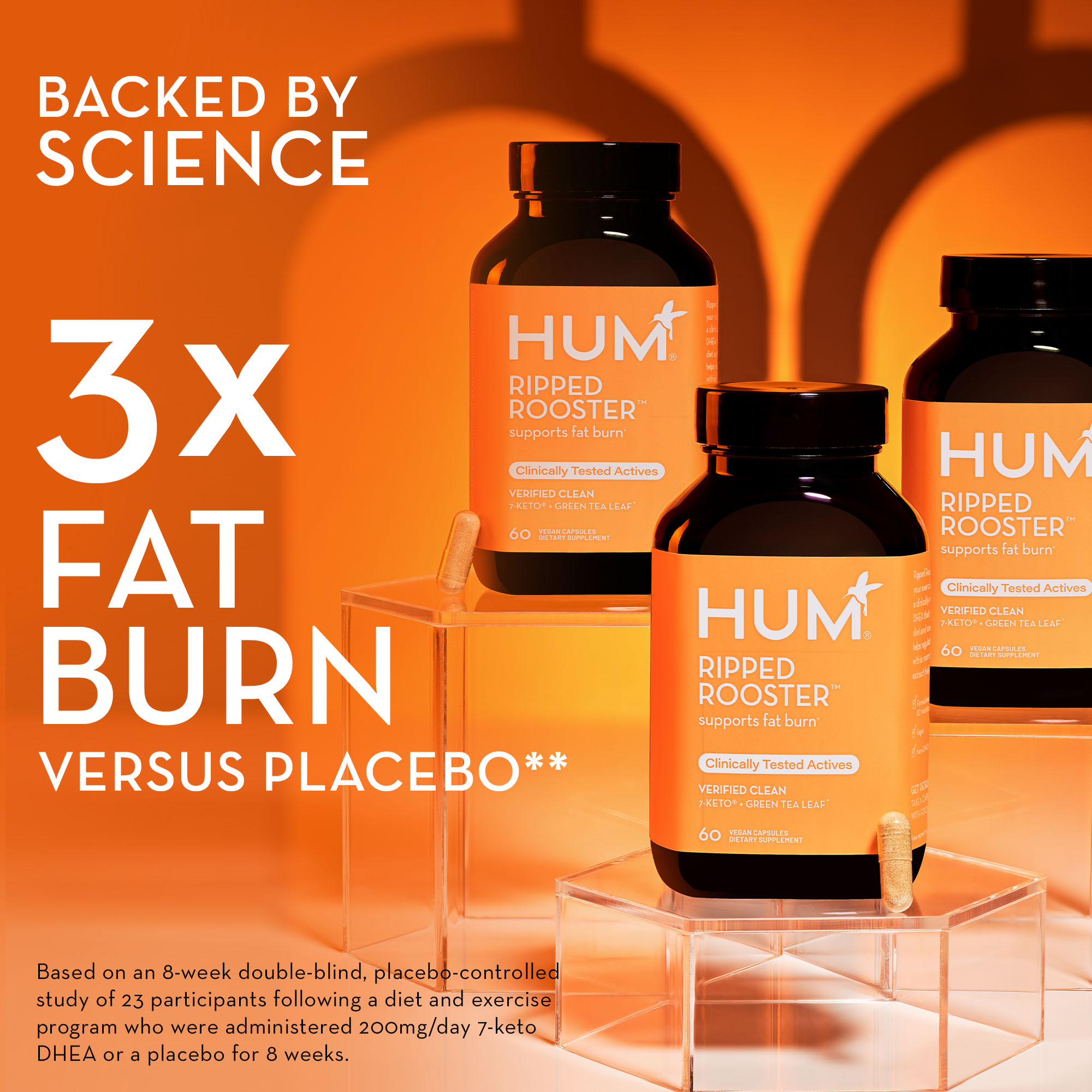 Ripped Rooster Best Fat Burning Supplements HUM Nutrition