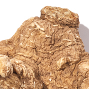 Mighty Night Cell Renewal Supplement | HUM Nutrition - HUM Nutrition