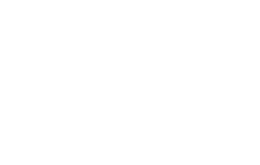 HPSI