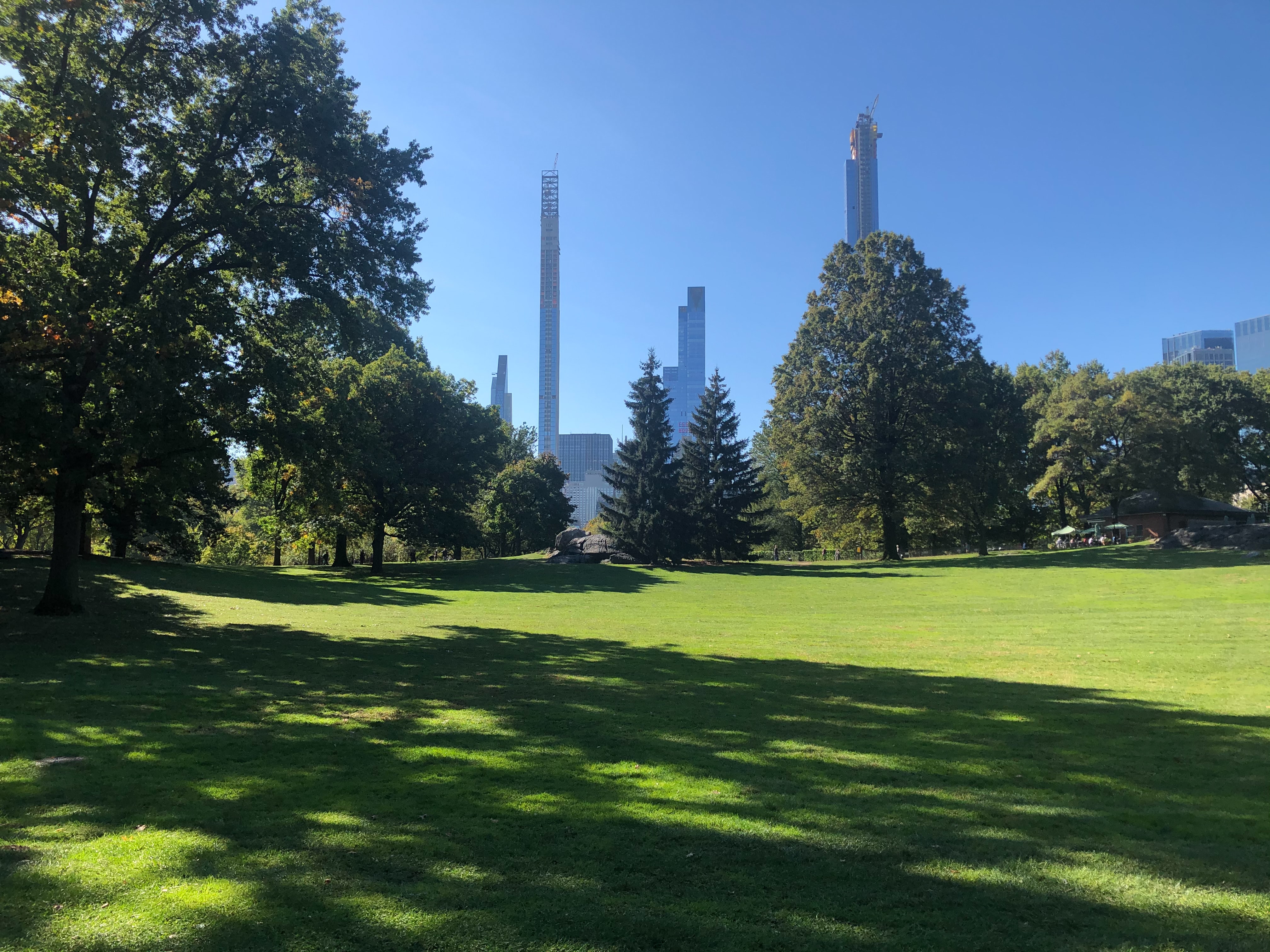 Top 6 Ideas to make today’s cities greener