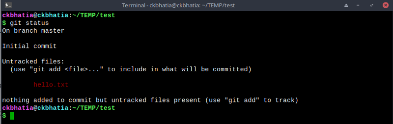 running git status