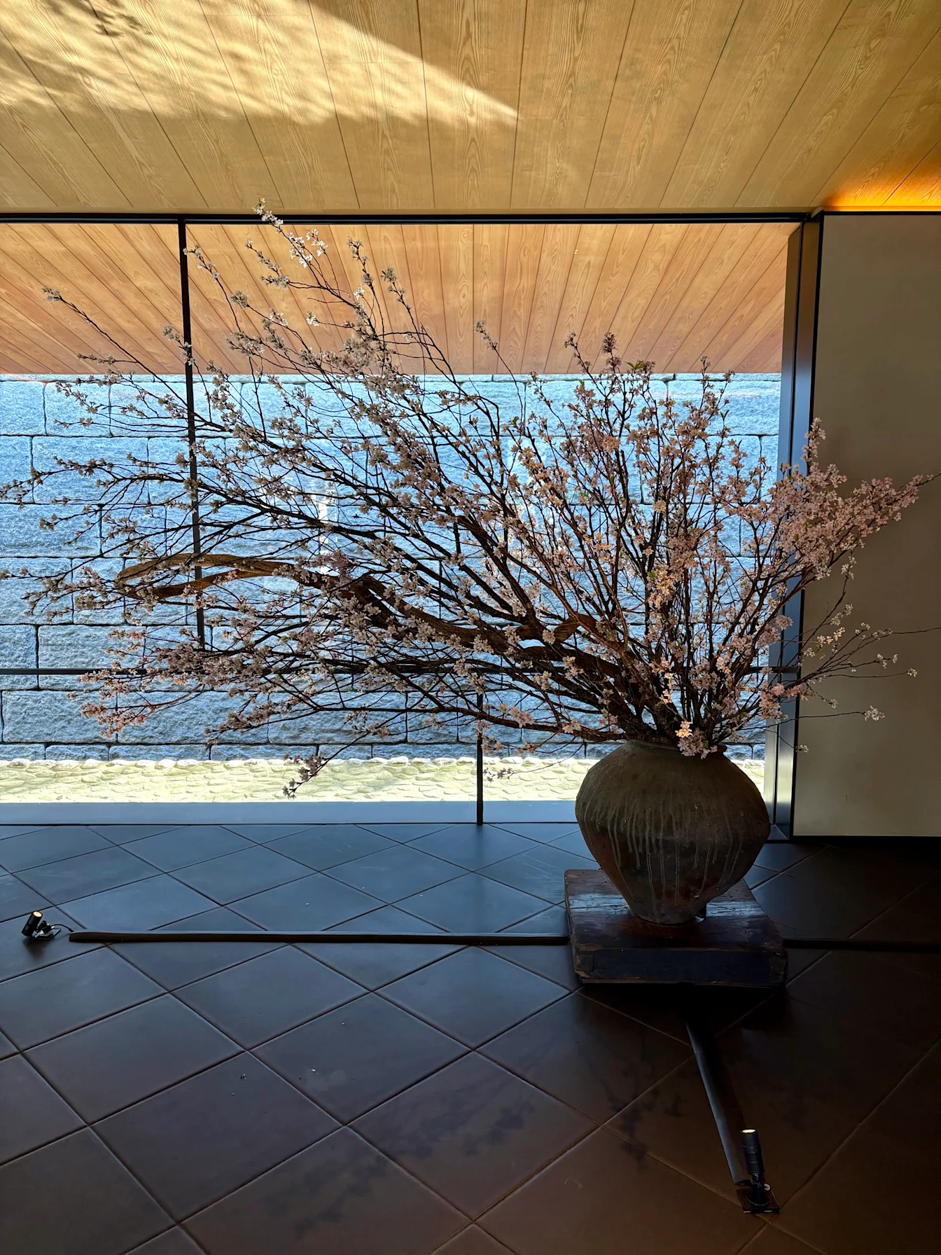 Bình cắm cành hoa anh đào bên ô cửa kính lớn tại Park Hyatt Kyoto