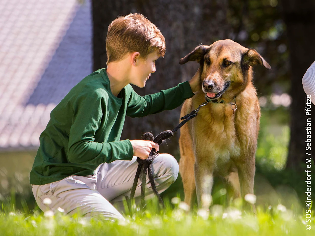 Kind streichelt einen braunen Hund an der Leine, im Hintergrund Natur und ein Gebäude. Kind streichelt einen braunen Hund an der Leine, im Hintergrund Natur und ein Gebäude.