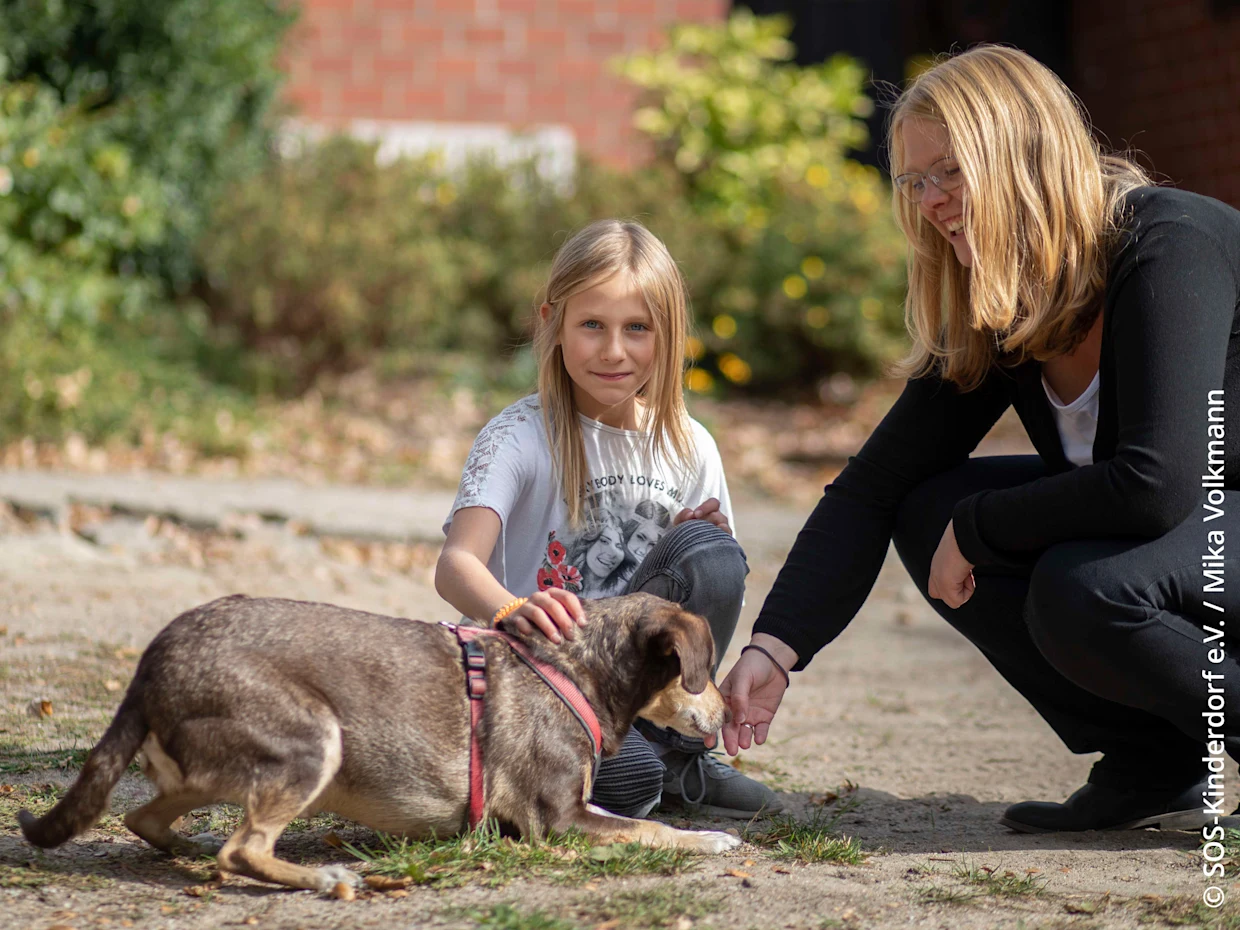 Ein kleiner brauner Hund mit rotem Geschirr wird von einer Frau auf einer Wiese gefüttert und von einem Mädchen gestreichelt. Im Hintergrund sind grüne Büsche und eine Backsteinwand. Ein kleiner brauner Hund mit rotem Geschirr wird von einer Frau auf einer Wiese gefüttert und von einem Mädchen gestreichelt. Im Hintergrund sind grüne Büsche und eine Backsteinwand.