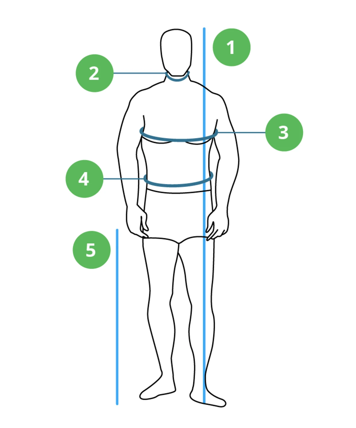 Illustration eines menschlichen Körpers mit fünf Messlinien zur Bestimmung von Körpermaßen: Körperlänge (1), Halsumfang (2), Brustumfang (3), Taillenumfang (4) und Beinlänge (5). Illustration eines menschlichen Körpers mit fünf Messlinien zur Bestimmung von Körpermaßen: Körperlänge (1), Halsumfang (2), Brustumfang (3), Taillenumfang (4) und Beinlänge (5).