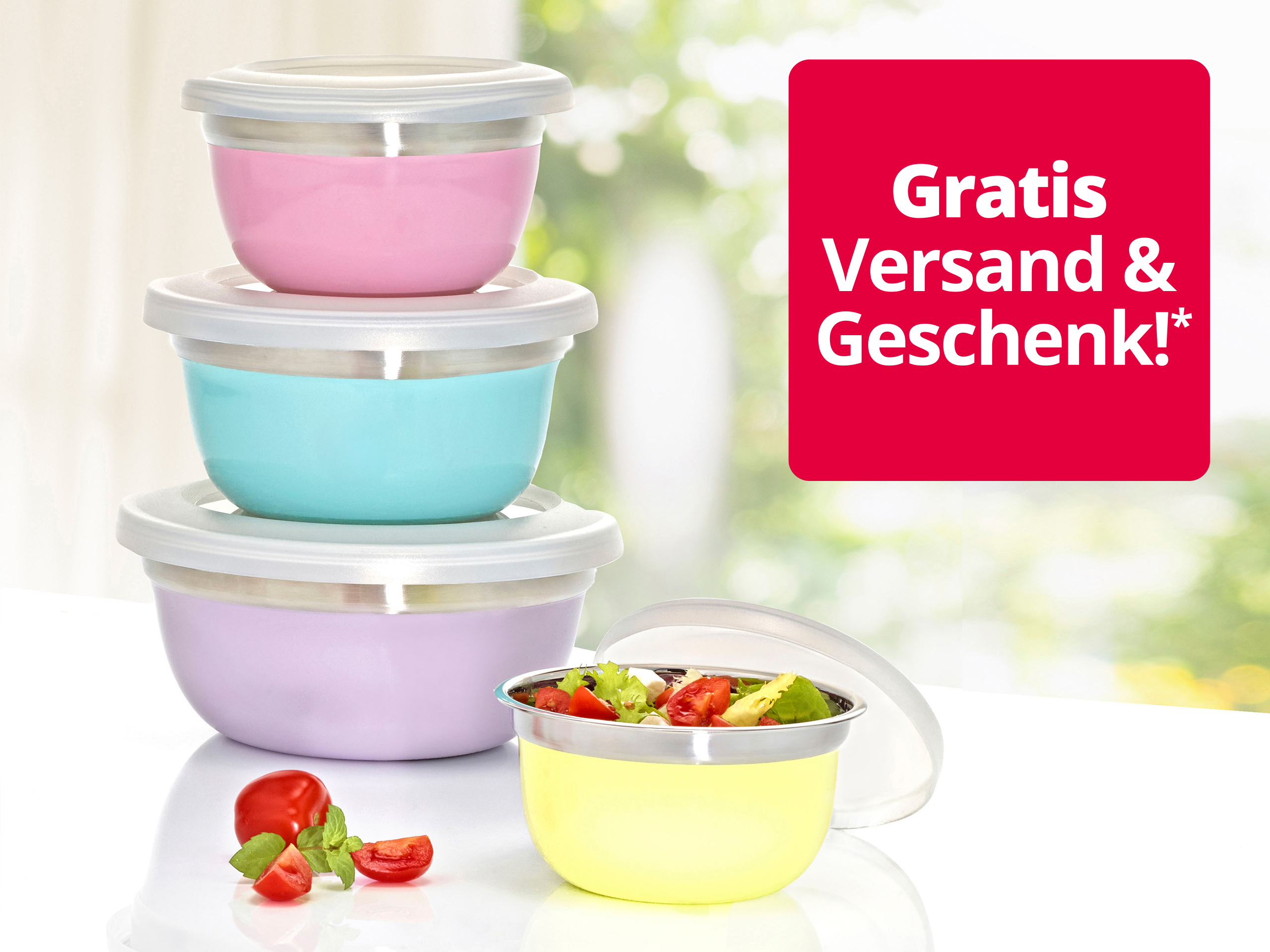 24809 wechsel nkg bb atch 43