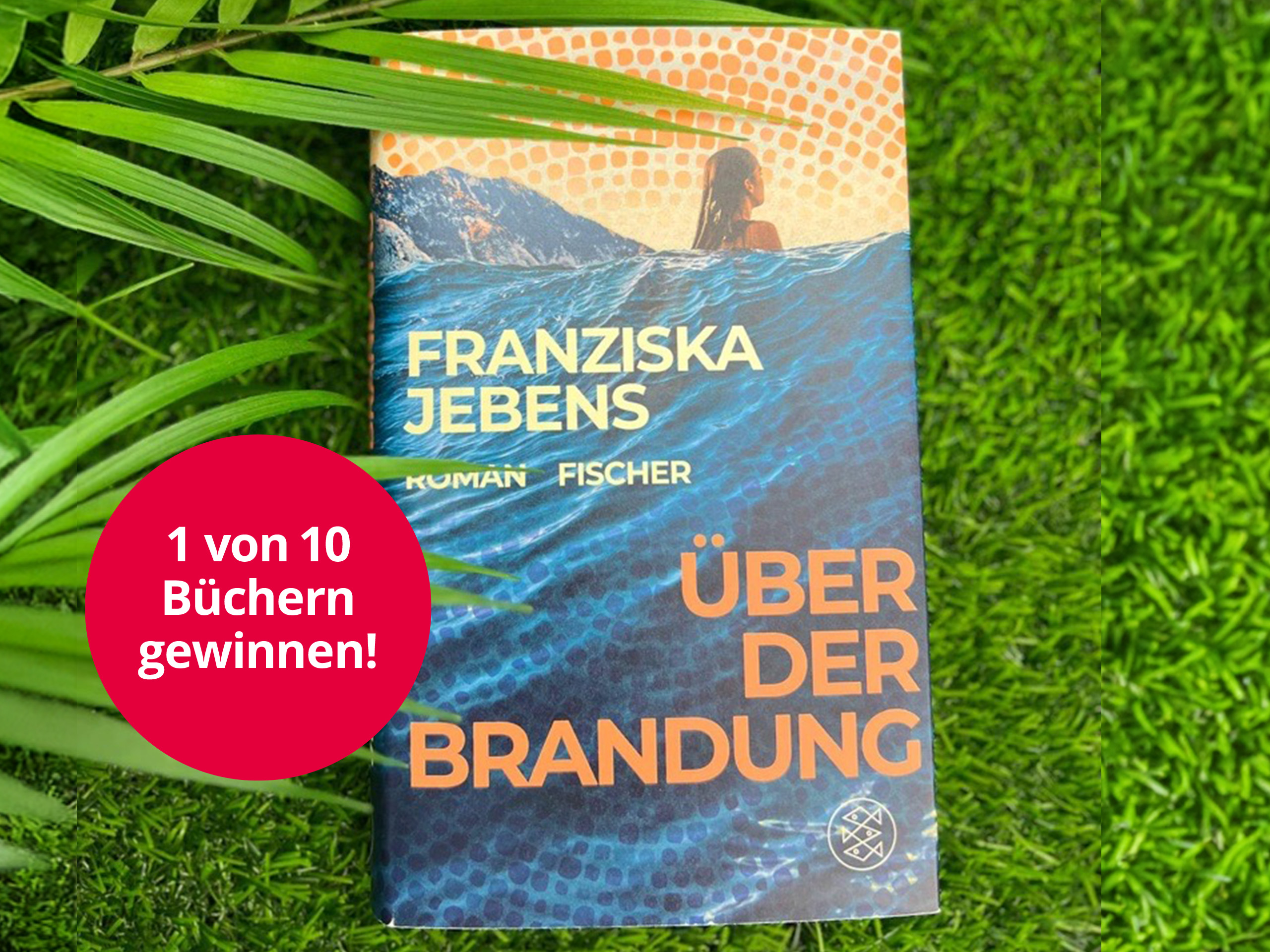 27554 gewinnspiel buchverlosung brandung 43