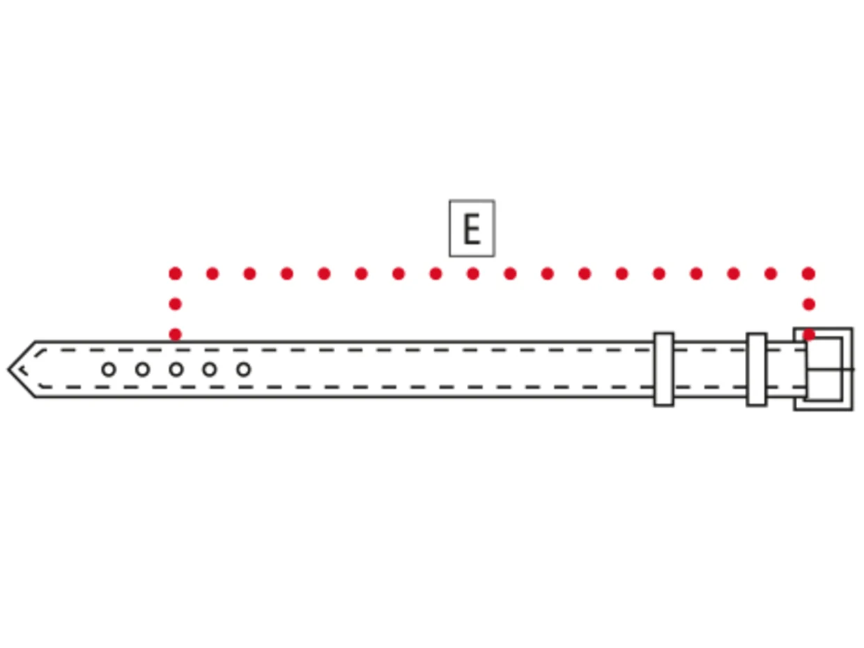 Illustration zur Längenmessung eines Gürtels, mit roter gestrichelter Linie von der Schnalle bis zum mittleren Loch. Illustration zur Längenmessung eines Gürtels, mit roter gestrichelter Linie von der Schnalle bis zum mittleren Loch.