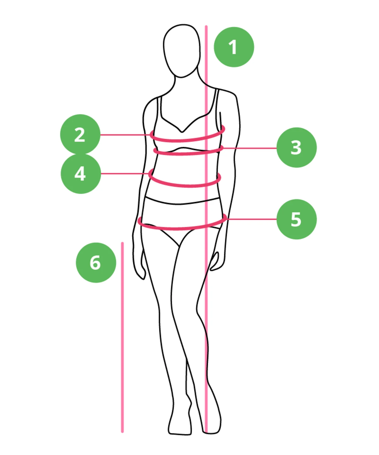 Illustration einer weiblichen Figur mit Markierungen für Körpermaße: Körperlänge (1), Brustumfang (2), Unterbrustumfang (3), Taillenumfang (4), Hüftumfang (5) und Beinlänge (6). Illustration einer weiblichen Figur mit Markierungen für Körpermaße: Körperlänge (1), Brustumfang (2), Unterbrustumfang (3), Taillenumfang (4), Hüftumfang (5) und Beinlänge (6).