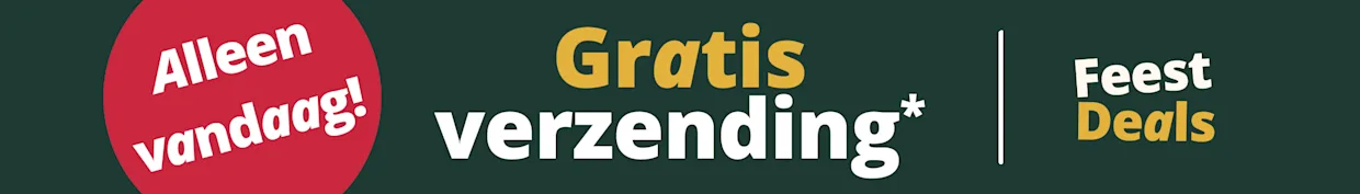Een advertentie met de tekst 'Alleen vandaag! Gratis verzending* Feest Deals'. De achtergrond is donkergroen, links staat een rode cirkel met witte letters, de rest van de tekst is in wit en goud en staat in het midden.