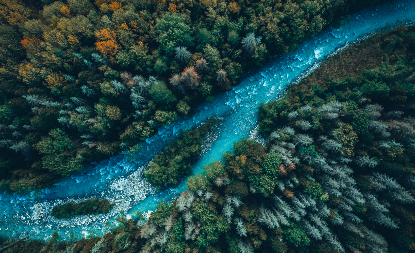 Aerial view of a vibrant blue river flowing through a dense forest with green trees on both sides.