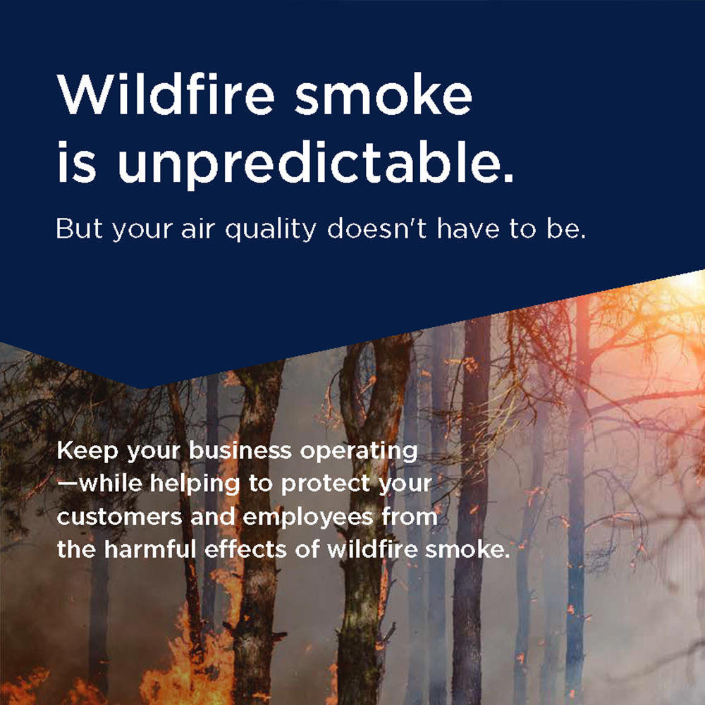 Wildfire Smoke Brochure image