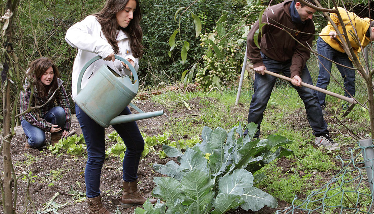 Catalogo-FOTO-LaSalle-Compromiso-con-nuestro-entorno-1210