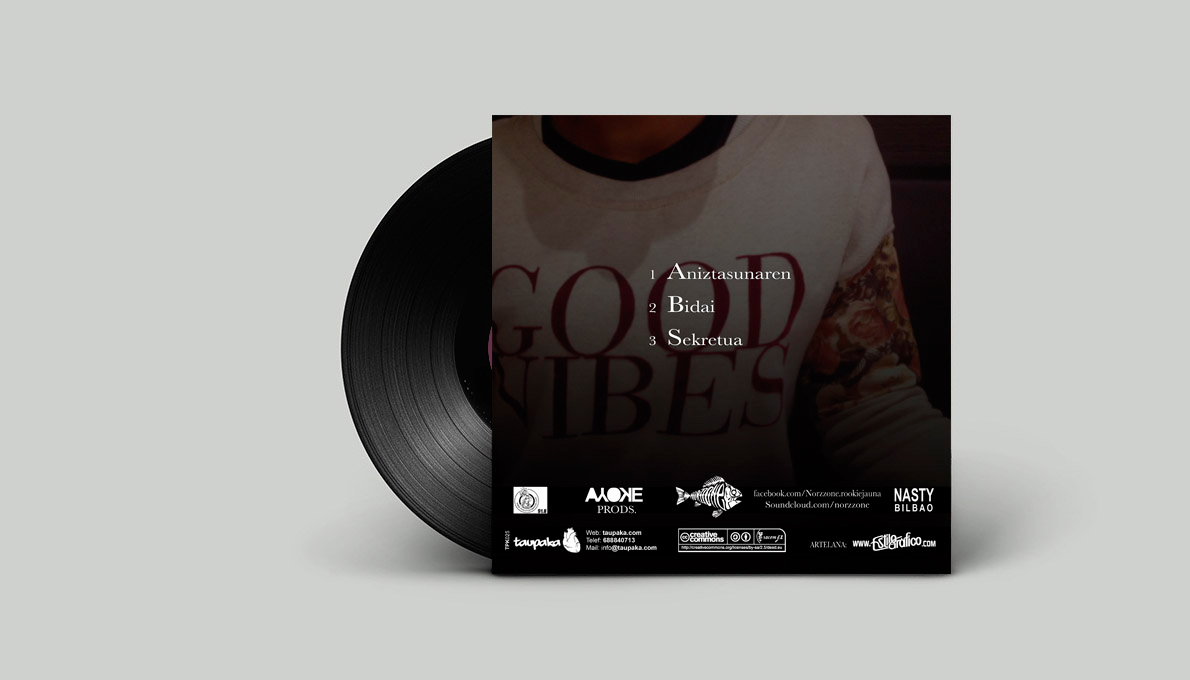 Norzzone-vinilo-back-1190x680