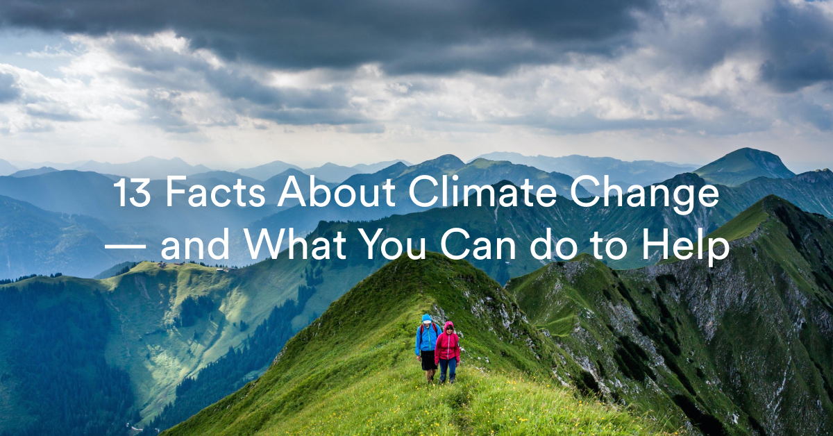 13 Climate Change Facts – And What You Can Do To Help