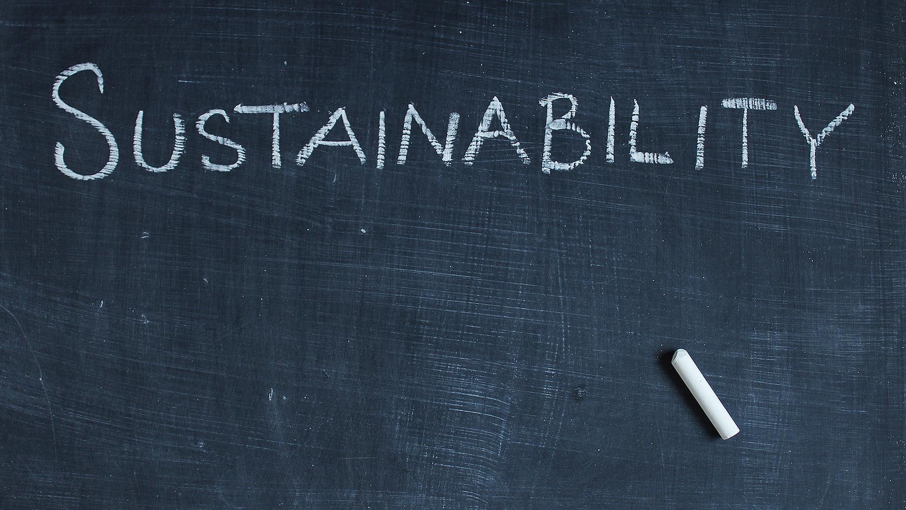 What Is Sustainability And Why Is It Important?