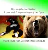 Das vegetative System - Stress und Entspannung (WEBINAR)