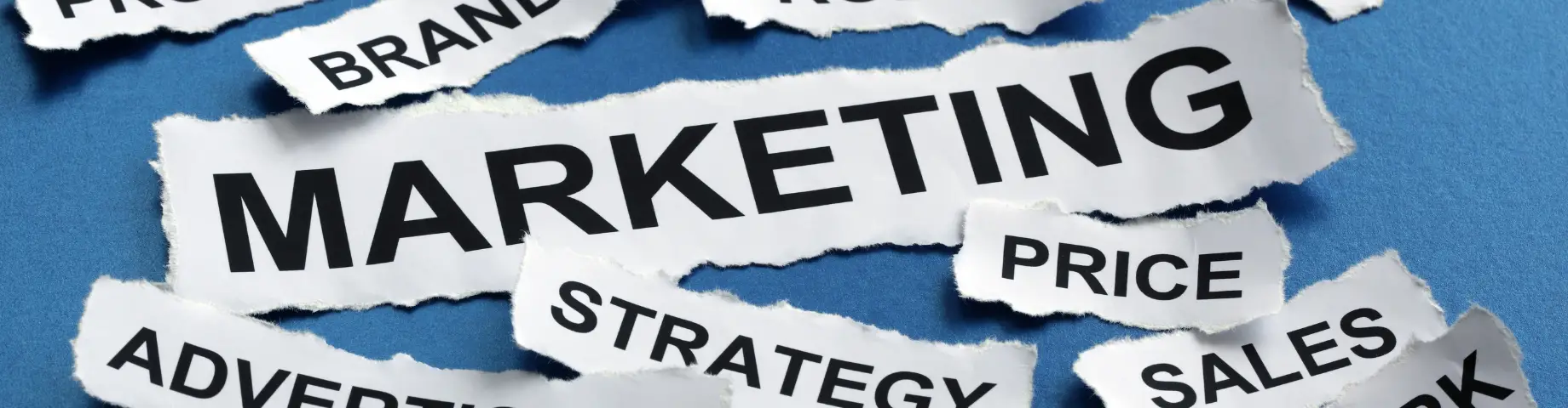 B2B Marketing Strategies: How to Find Your Perfect Customers