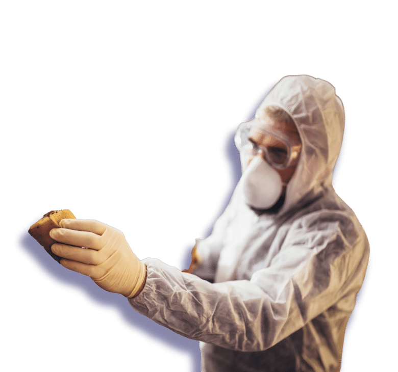 Restoration Industry Email Lists