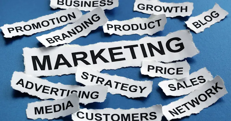 B2B Marketing Strategies: How to Find Your Perfect Customers