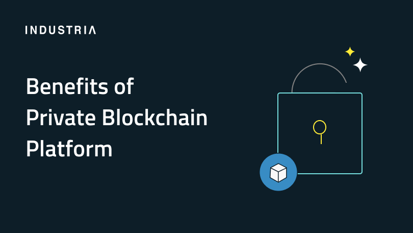 Cover image of article - 6 Reasons Why Your Company Needs a Private Blockchain Platform