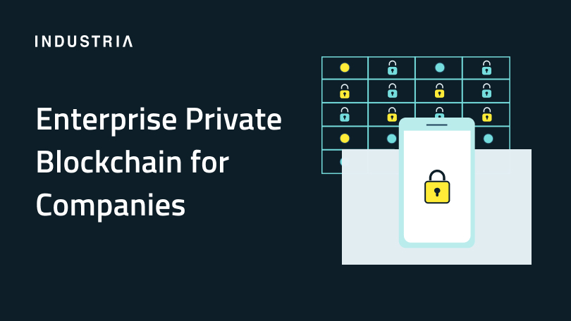 А cover image for the article 'What Is Enterprise Private Blockchain and Is It Useful for Your Company? "