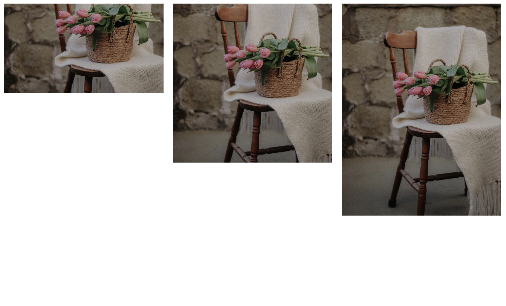 Three identical images, as before with varying aspect ratios, but now each is sized correctly within its bounds. The flowers in each image are displayed at a different spot in the image though.