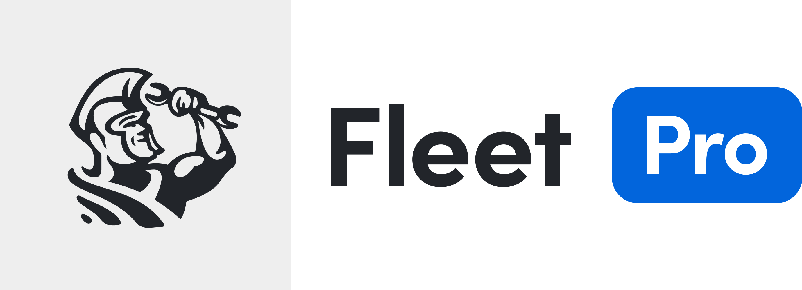 Fleet Pro