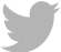 twitter-logo