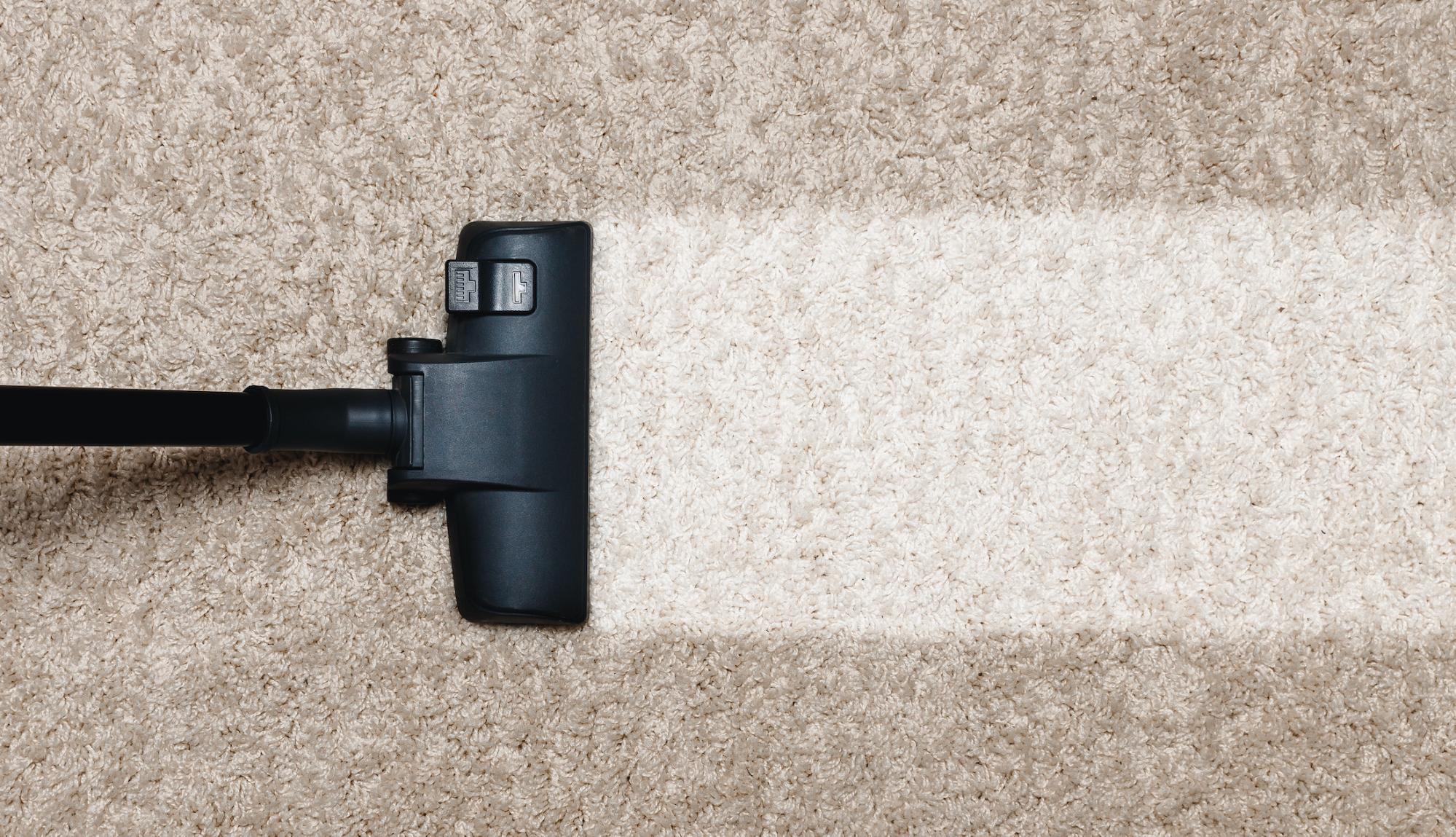 brown carpet with a black vacuum making a straight line of very clean, and much lighter carpet. 
