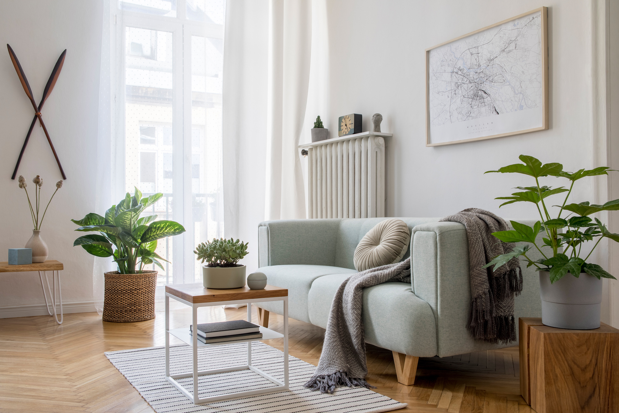 5 Essential Items to Buy for Your Small Apartment
