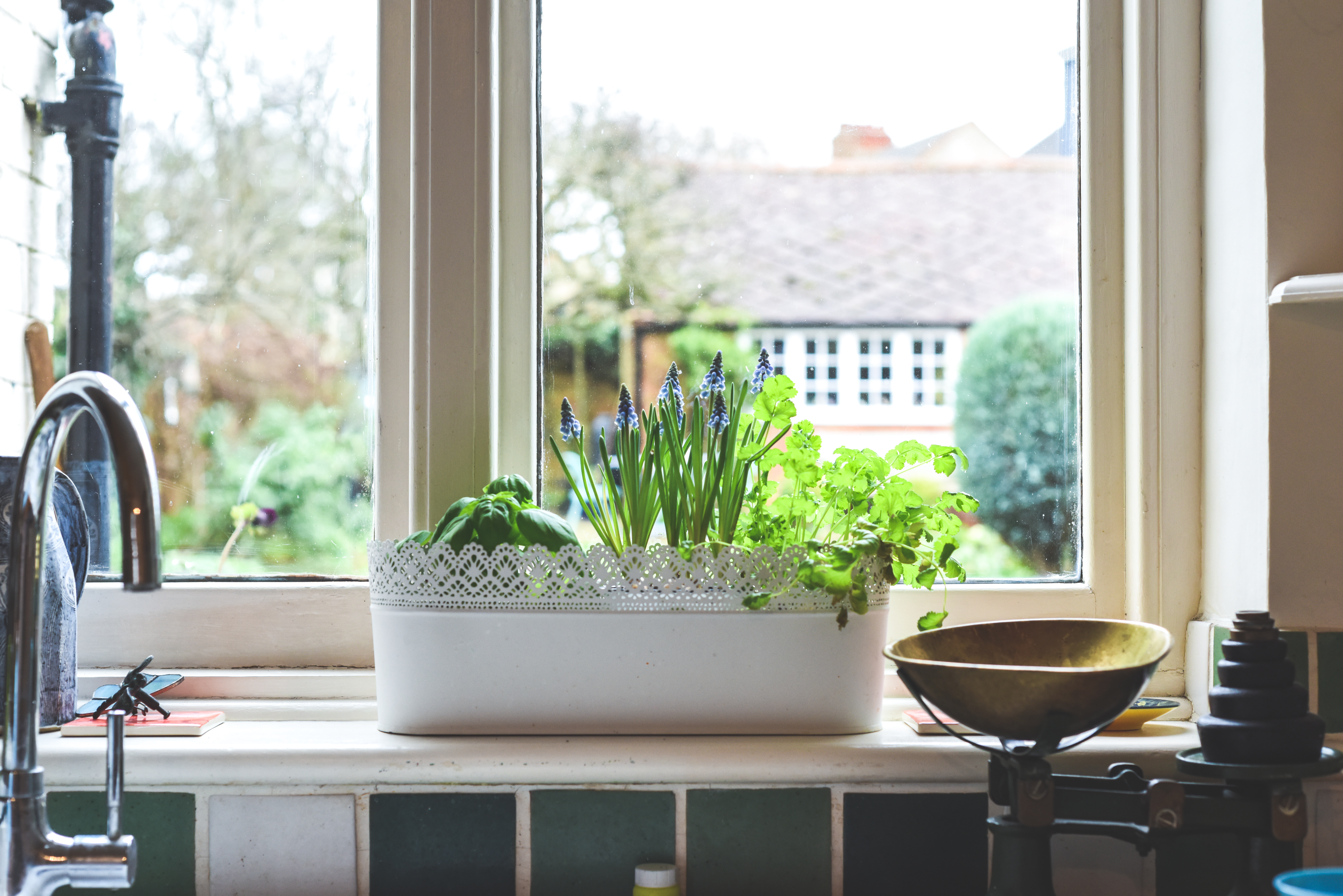 kitchen sink with window box of plants on the counter 