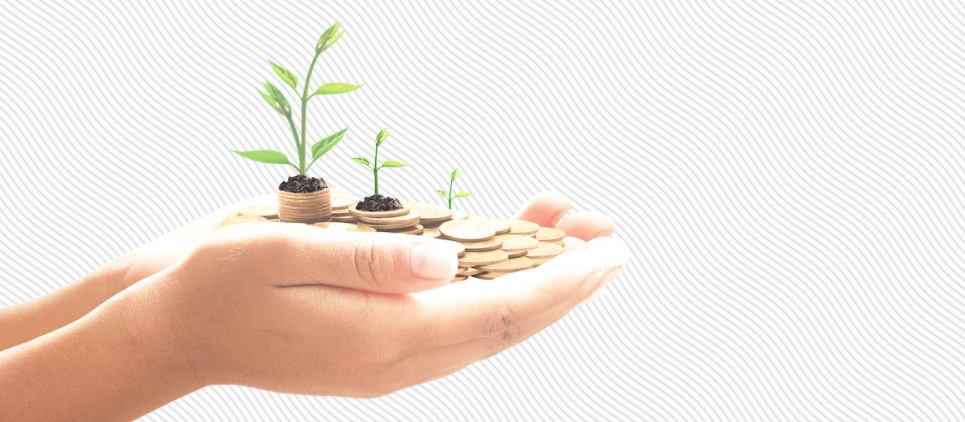 Two hands containing stacks of coins with small amounts of dirt and green plants sprouting out.