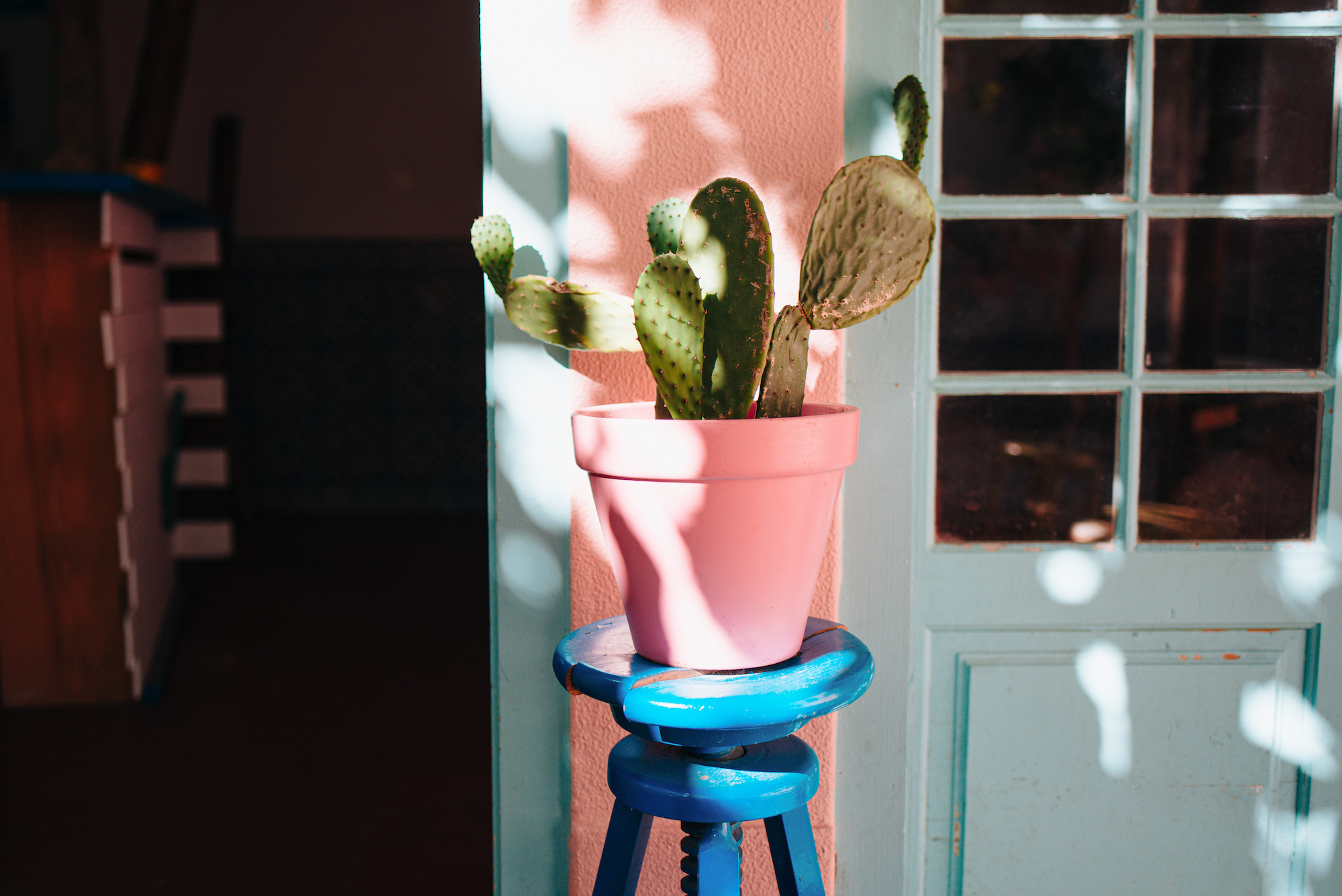 A cactus in a pink pot on a blue stool.
