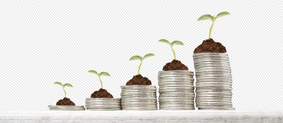 Stacks of coins increasing in size from left to right with small plants growing out of each stack. 